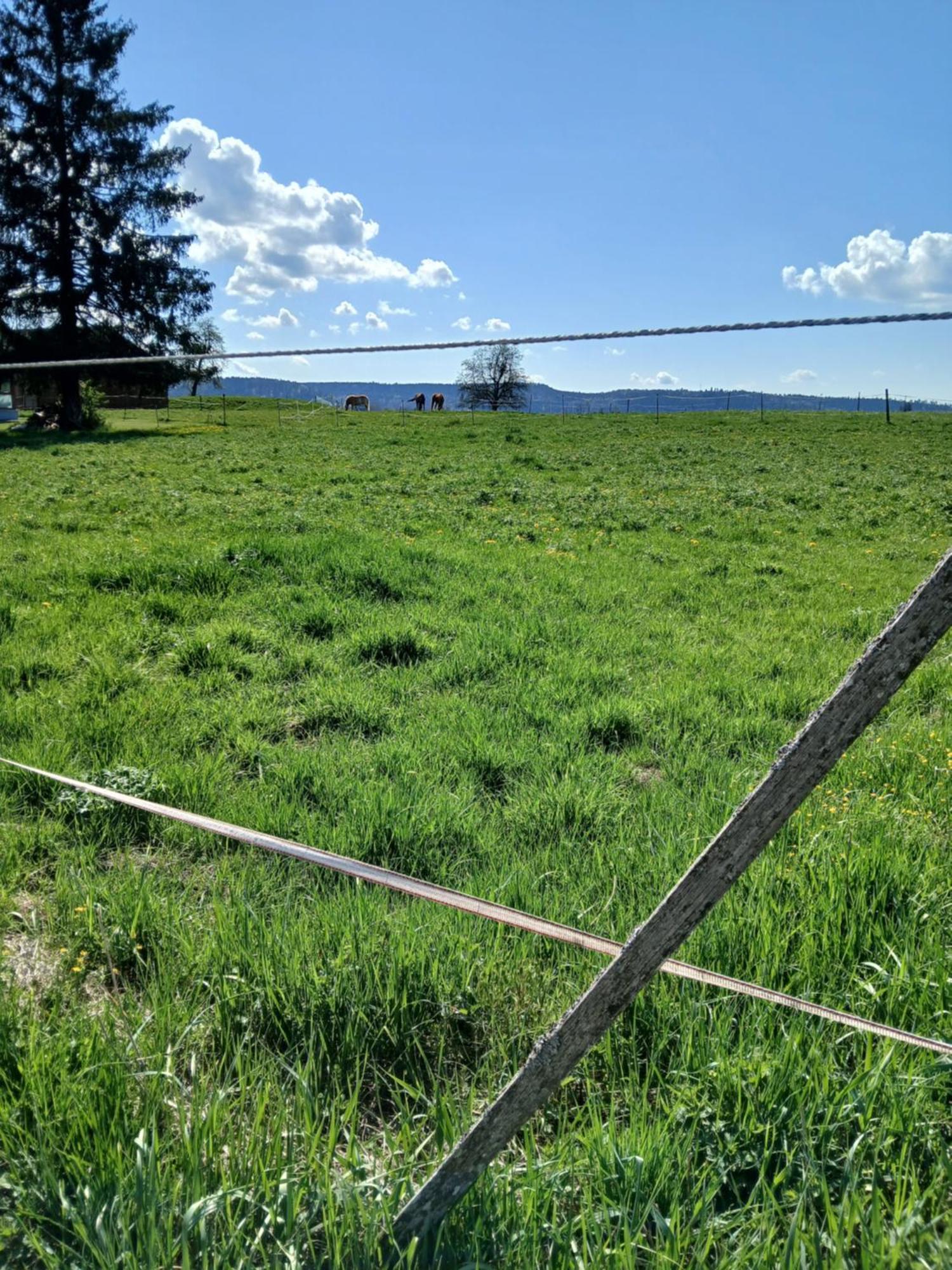 Landgasthof Zum Seehof Rottweil Exterior photo